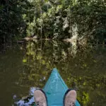 Gallery Thumbnail 3