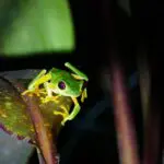 Gallery Thumbnail 2