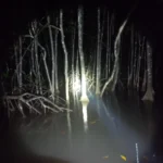 Gallery Thumbnail 1